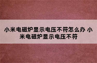 小米电磁炉显示电压不符怎么办 小米电磁炉显示电压不符